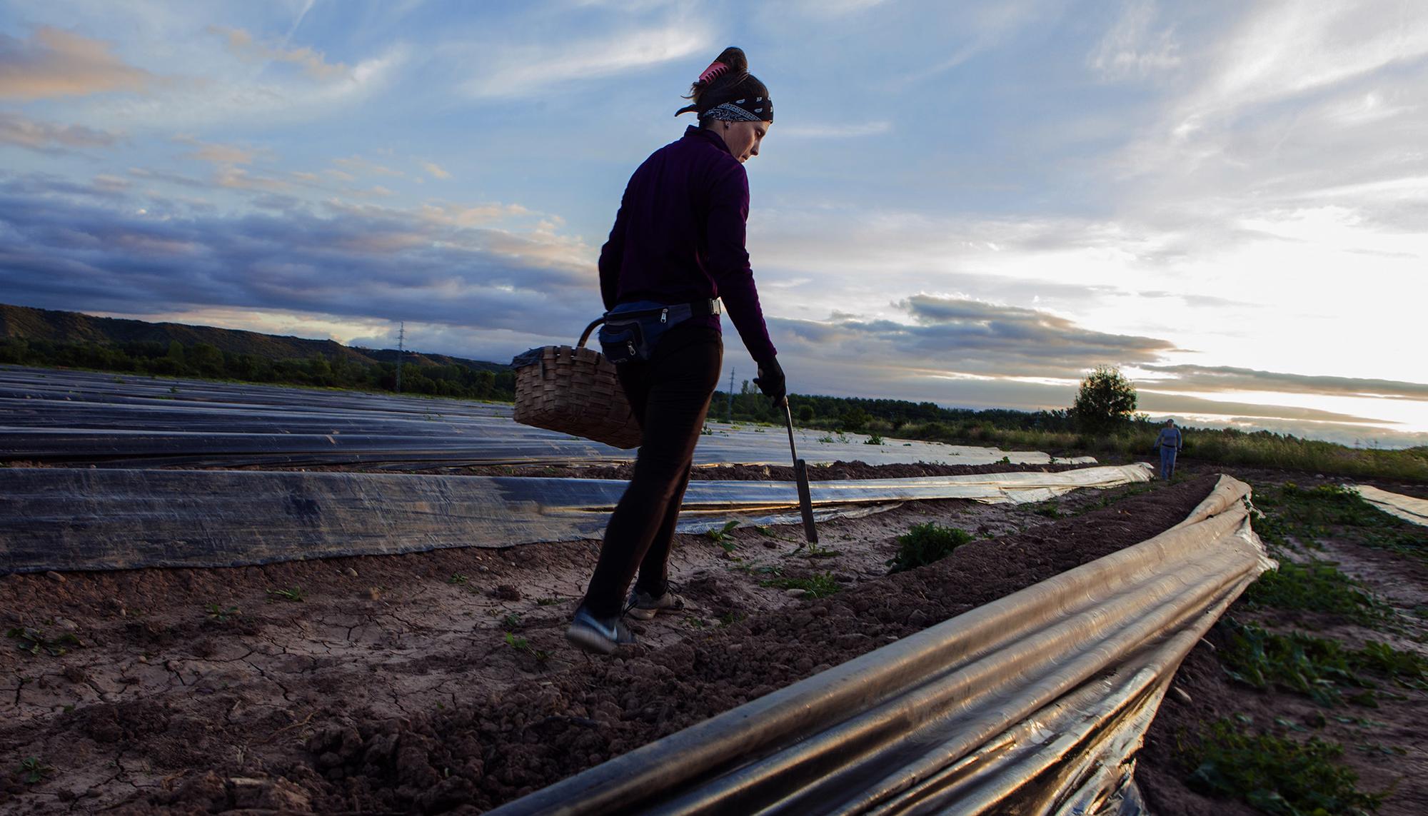 Temporeras andaluzas Navarra 1